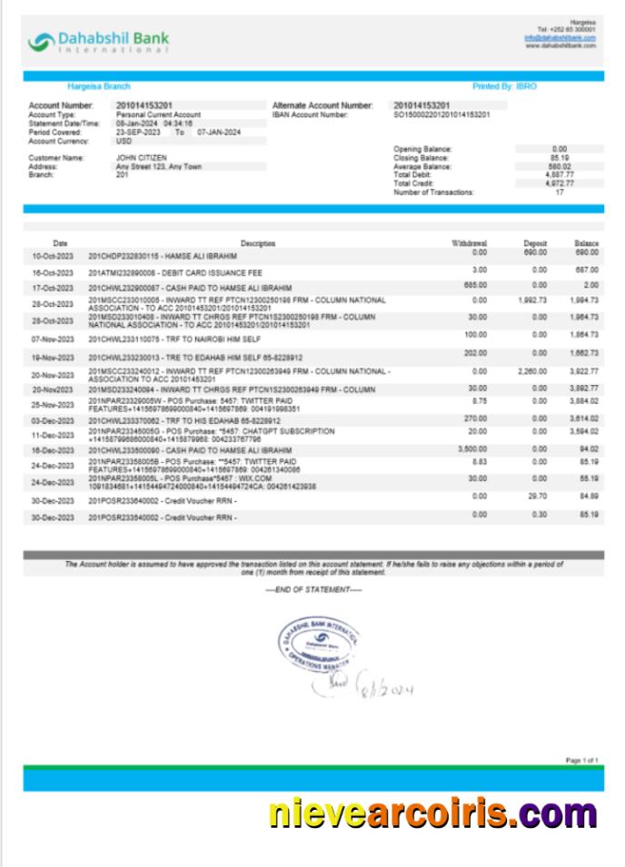 Somalia Dahabshil Bank International bank statement Word and PDF